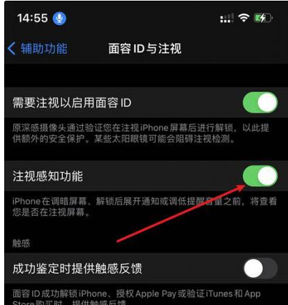 望江苹果14维修网点分享iPhone14注视感知功能有什么用 